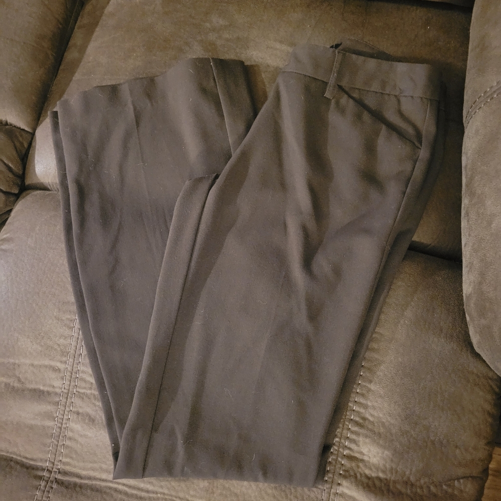 Dress pants